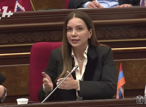 «Герой-налогоплательщик платит деньги, Тигран Авинян несёт подруге жены»